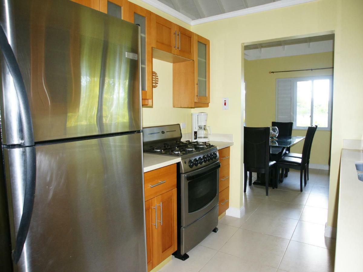 Jamnick Vacation Rentals - Richmond, St Ann, Jamaica Ocho Rios Eksteriør billede